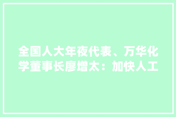 全国人大年夜代表、万华化学董事长廖增太：加快人工智能与化工深度融合 加速形成新质分娩力_人工智能_数据