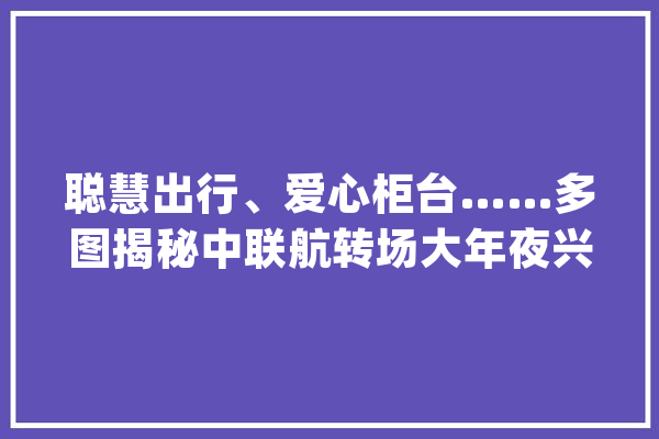 聪慧出行、爱心柜台……多图揭秘中联航转场大年夜兴机场后首次春运亮点_年夜兴_机场