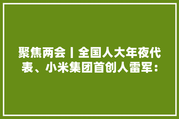聚焦两会丨全国人大年夜代表、小米集团首创人雷军：建议将人工智能通识课程纳入义务教诲_人工智能_智能