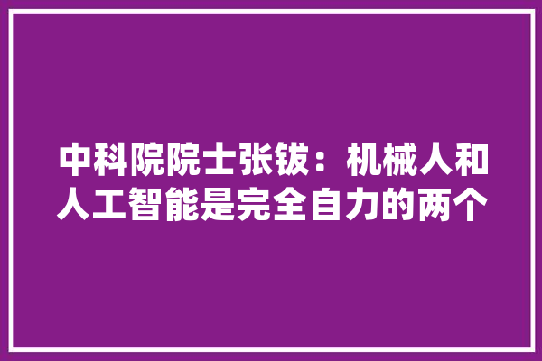 中科院院士张钹：机械人和人工智能是完全自力的两个学科_机械人_智能