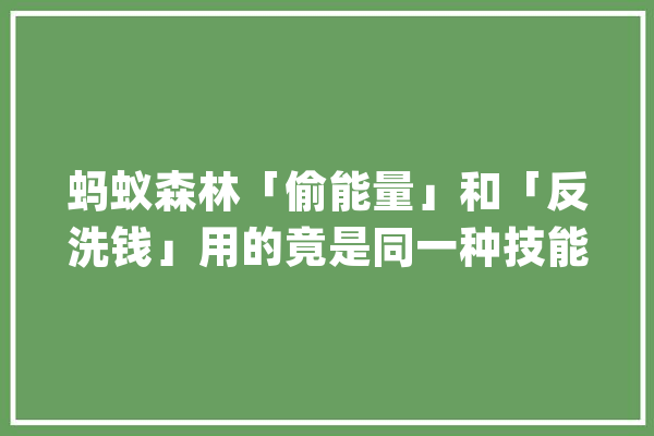 蚂蚁森林「偷能量」和「反洗钱」用的竟是同一种技能_蚂蚁_数据 云服务