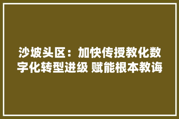 沙坡头区：加快传授教化数字化转型进级 赋能根本教诲高质量成长_中卫_教师 文字写作
