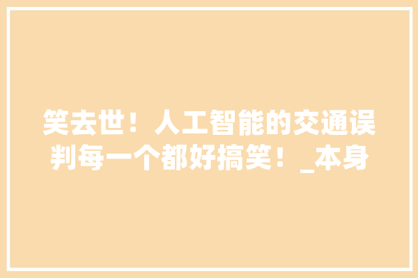 笑去世！人工智能的交通误判每一个都好搞笑！_本身的_似乎 绘影字幕