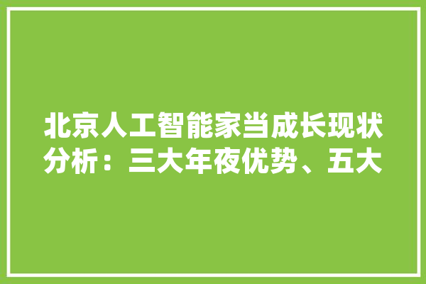 北京人工智能家当成长现状分析：三大年夜优势、五大年夜构造造就全国第一_人工智能_家当