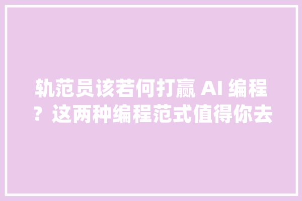 轨范员该若何打赢 AI 编程？这两种编程范式值得你去深研 | NPCon 演讲实录_范式_不肯