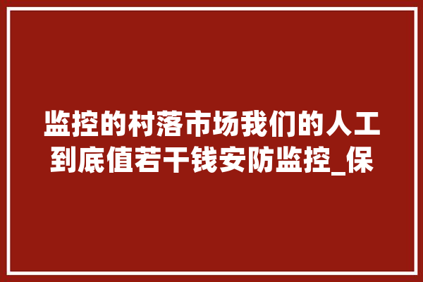 监控的村落市场我们的人工到底值若干钱安防监控_保护_价钱