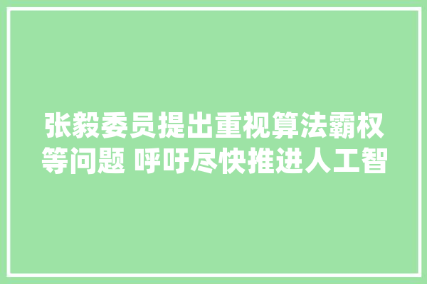 张毅委员提出重视算法霸权等问题 呼吁尽快推进人工智能法出台_人工智能_算法 AI快讯