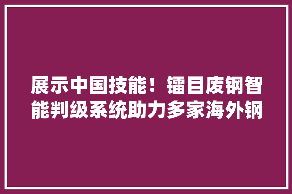 展示中国技能！镭目废钢智能判级系统助力多家海外钢企迈入智能判级行列_废钢_智能 计算机