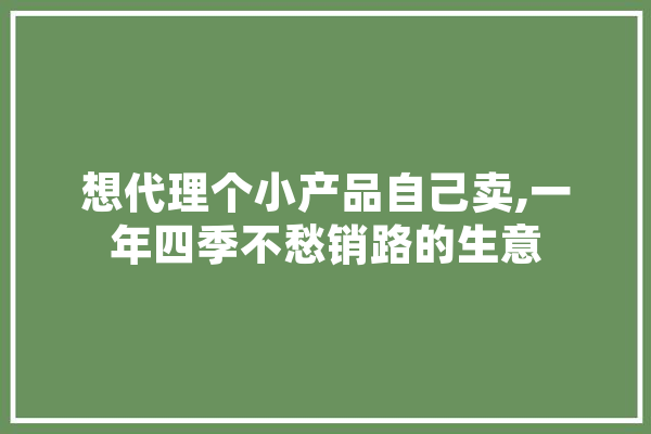 想代理个小产品自己卖,一年四季不愁销路的生意 云服务