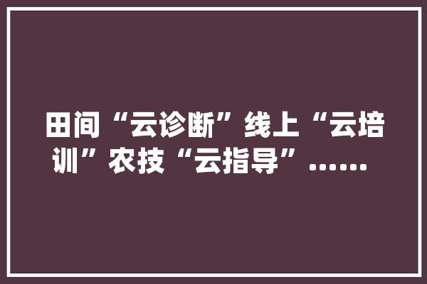 田间“云诊断”线上“云培训”农技“云指导”…… 崇明5G聪慧农业云上线啦_农业_崇明 智能写作