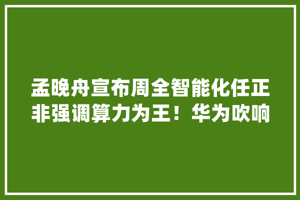 孟晚舟宣布周全智能化任正非强调算力为王！华为吹响人工智能号角_华为_模子 绘影字幕