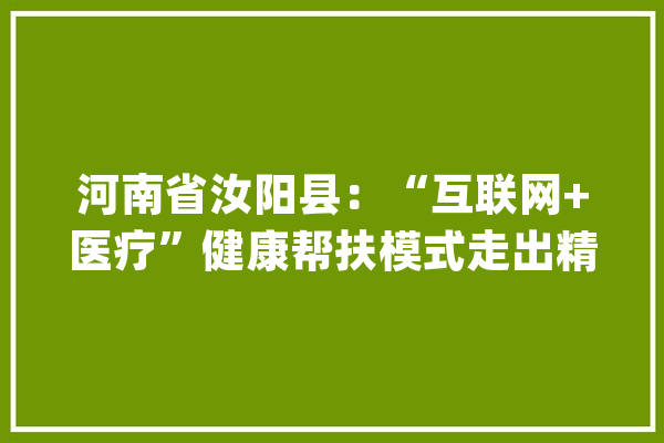 河南省汝阳县：“互联网+医疗”健康帮扶模式走出精准医疗做事之路_村_病院