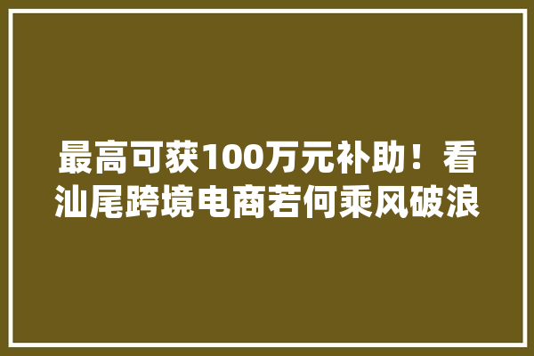 最高可获100万元补助！看汕尾跨境电商若何乘风破浪_汕尾_跨境