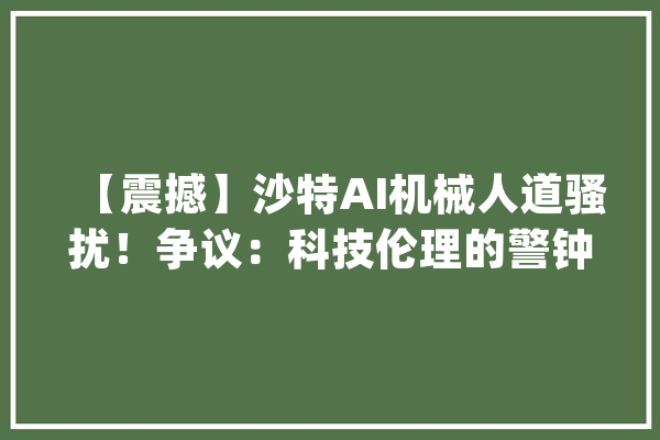 【震撼】沙特AI机械人道骚扰！争议：科技伦理的警钟_人工智能_机械人
