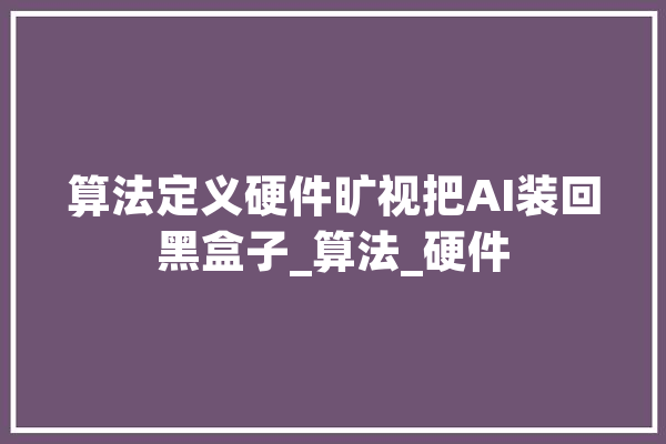 算法定义硬件旷视把AI装回黑盒子_算法_硬件 AI快讯