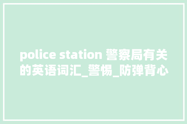 police station 警察局有关的英语词汇_警惕_防弹背心 AI快讯