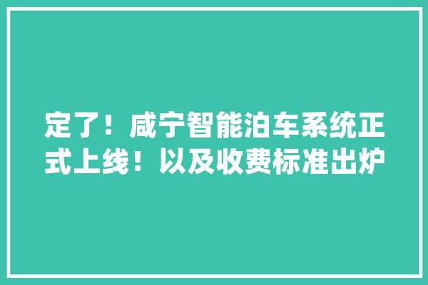 定了！咸宁智能泊车系统正式上线！以及收费标准出炉_泊车位_泊位