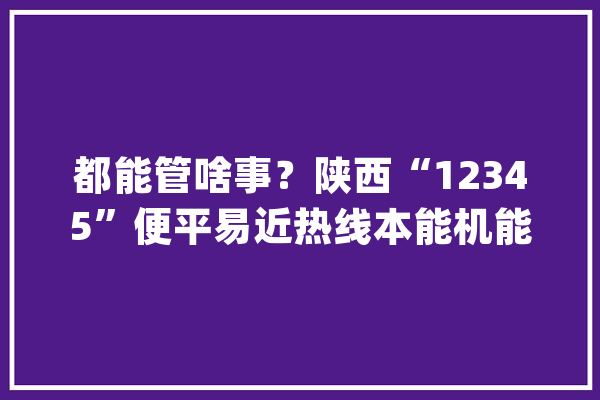 都能管啥事？陕西“12345”便平易近热线本能机能明确_事项_单元 计算机