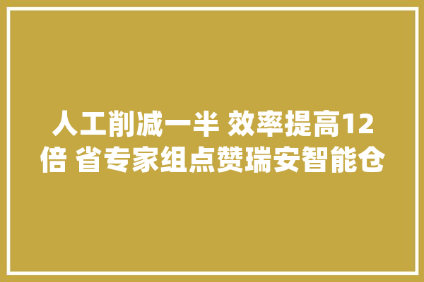人工削减一半 效率提高12倍 省专家组点赞瑞安智能仓储_智能_库存
