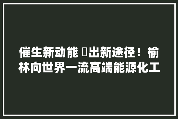 催生新动能 蹚出新途径！榆林向世界一流高端能源化工基地阔步迈进_榆林_家当 计算机