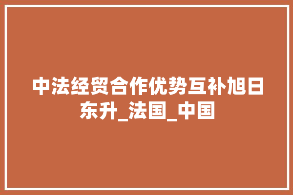 中法经贸合作优势互补旭日东升_法国_中国