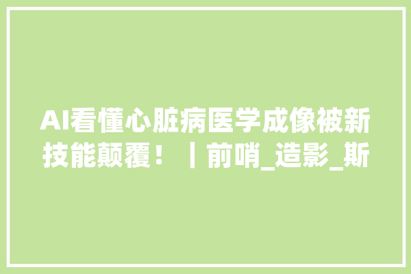 AI看懂心脏病医学成像被新技能颠覆！｜前哨_造影_斯蒂芬