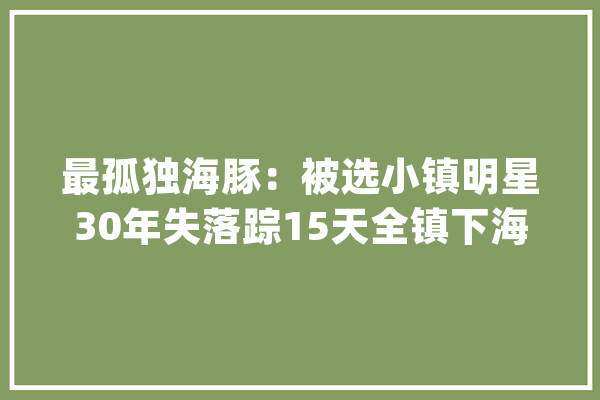 最孤独海豚：被选小镇明星30年失落踪15天全镇下海搜索_小镇_海豚