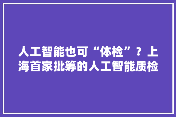 人工智能也可“体检”？上海首家批筹的人工智能质检中央这么干_人工智能_质检