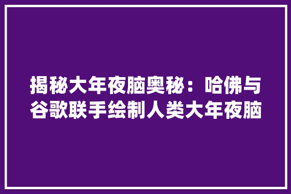 揭秘大年夜脑奥秘：哈佛与谷歌联手绘制人类大年夜脑最具体图谱_神经元_轴突