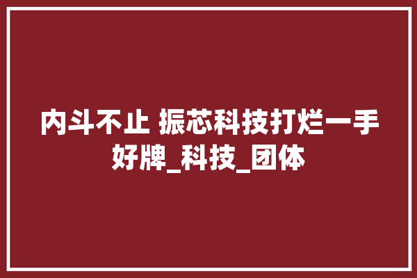 内斗不止 振芯科技打烂一手好牌_科技_团体 计算机