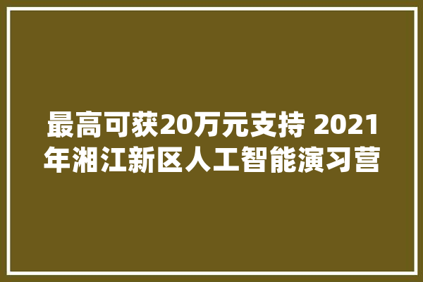 最高可获20万元支持 2021年湘江新区人工智能演习营开营_人工智能_家当