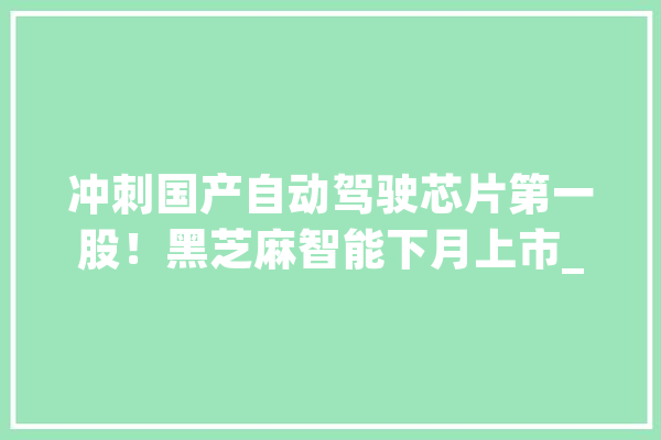 冲刺国产自动驾驶芯片第一股！黑芝麻智能下月上市_亿元_黑芝麻