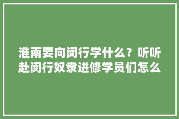 淮南要向闵行学什么？听听赴闵行奴隶进修学员们怎么说……_闵行_闵行区