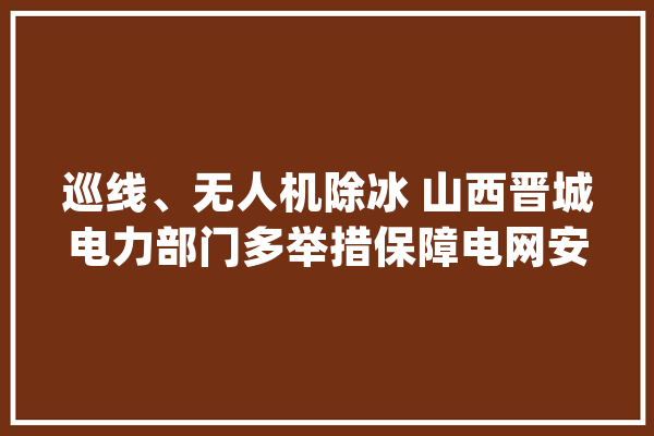 巡线、无人机除冰 山西晋城电力部门多举措保障电网安然运行_晋城_人员