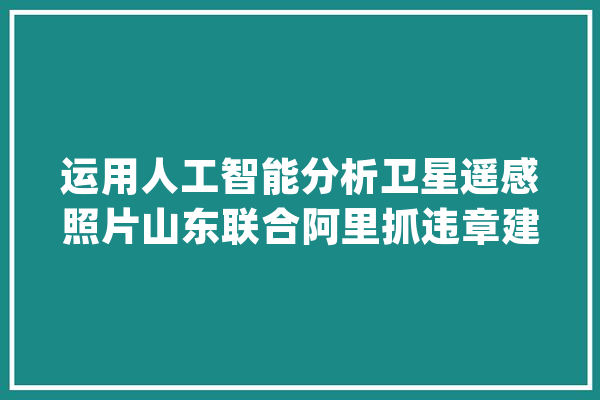 运用人工智能分析卫星遥感照片山东联合阿里抓违章建筑_遥感_人工智能