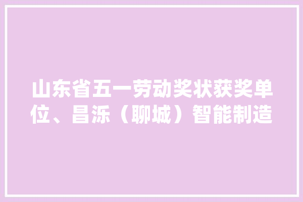 山东省五一劳动奖状获奖单位、昌泺（聊城）智能制造有限公司：为培植制造业强市供献“昌泺”力量_优势_声誉 智能助手