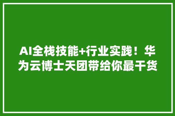 AI全栈技能+行业实践！华为云博士天团带给你最干货的前沿解读_华为_行业