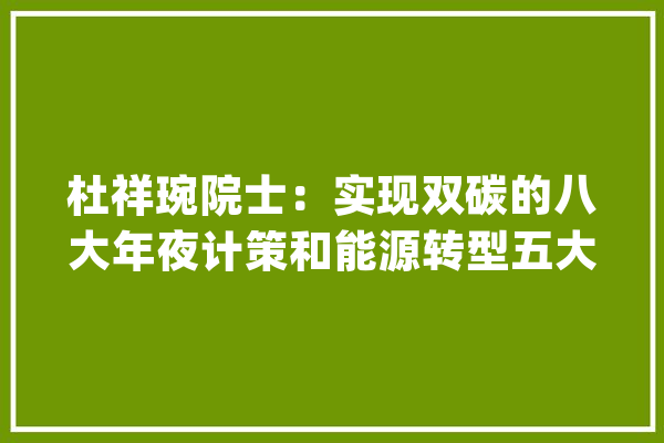 杜祥琬院士：实现双碳的八大年夜计策和能源转型五大年夜路径（附PPT）_能源_计策 科技快讯