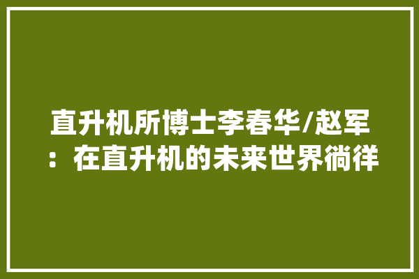 直升机所博士李春华/赵军：在直升机的未来世界徜徉_直升机_技巧