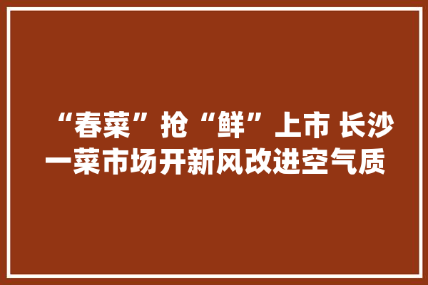 “春菜”抢“鲜”上市 长沙一菜市场开新风改进空气质量_菜市场_市场