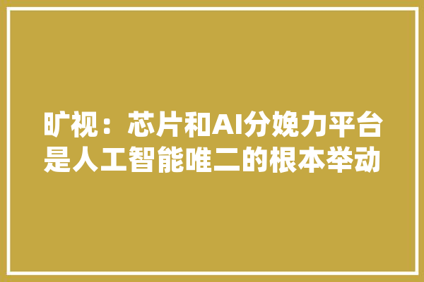 旷视：芯片和AI分娩力平台是人工智能唯二的根本举动办法_天元_算法