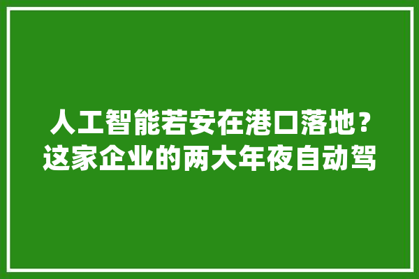 人工智能若安在港口落地？这家企业的两大年夜自动驾驶项目逆行出海_疫情_船埠