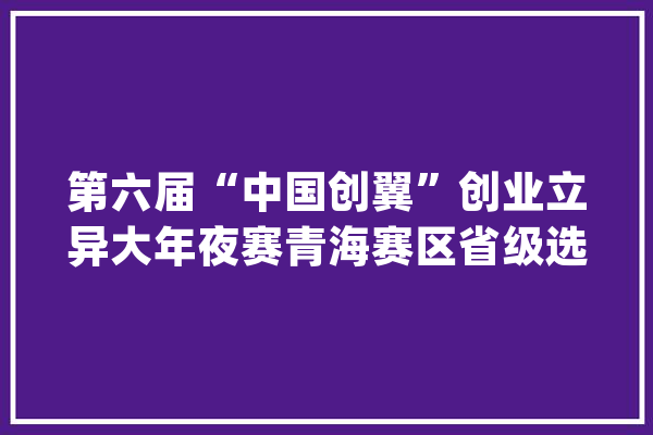 第六届“中国创翼”创业立异大年夜赛青海赛区省级选拔赛举办_青海_计策 AI简讯
