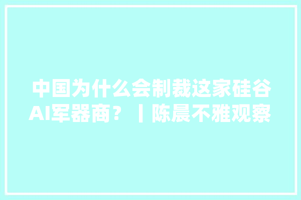 中国为什么会制裁这家硅谷AI军器商？丨陈晨不雅观察_晶格_里尔 计算机