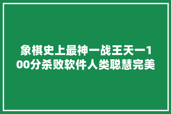 象棋史上最神一战王天一100分杀败软件人类聪慧完美表示_象棋_软件
