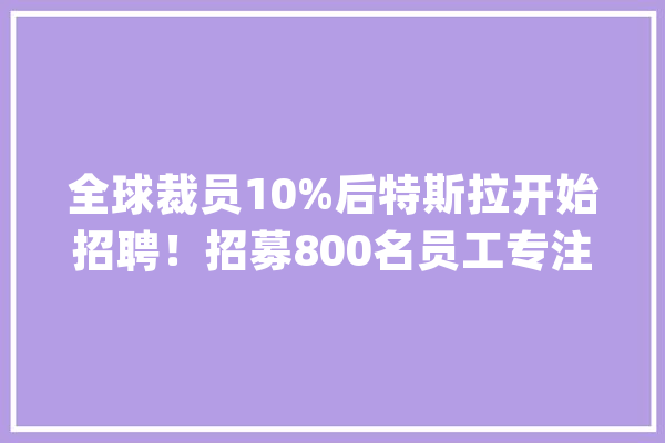 全球裁员10%后特斯拉开始招聘！招募800名员工专注人工智能和机械人技能马斯克强调特斯拉并不是电动汽车公司【附人工智能行业人才供需分析】_人工智能_家当