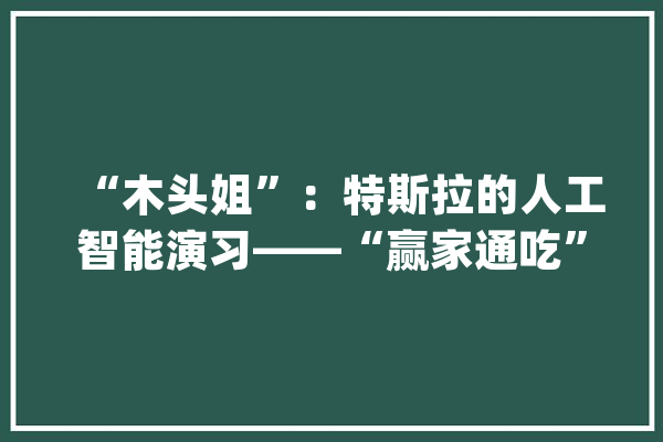 “木头姐”：特斯拉的人工智能演习——“赢家通吃”的机会_特斯拉_人工智能