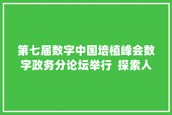 第七届数字中国培植峰会数字政务分论坛举行  探索人工智能＋政务助力基层减负_互联网_论坛