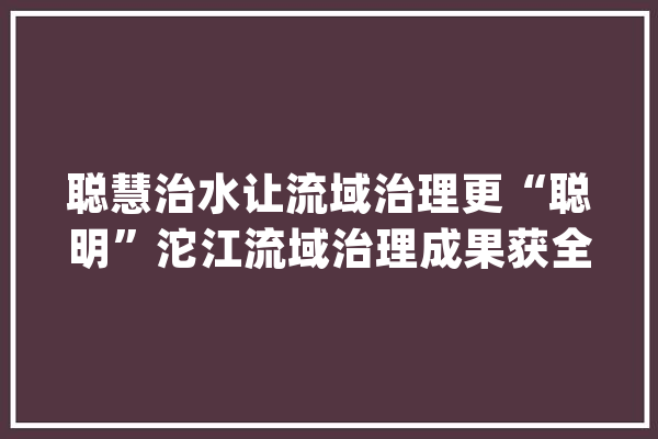 聪慧治水让流域治理更“聪明”沱江流域治理成果获全国水利行业科技大年夜奖_成都_流域