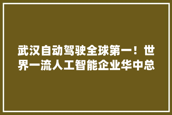 武汉自动驾驶全球第一！世界一流人工智能企业华中总部落户武汉！_武汉_武汉市 AI简讯